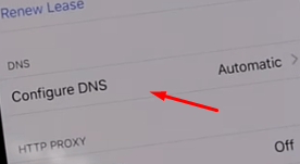 DNS