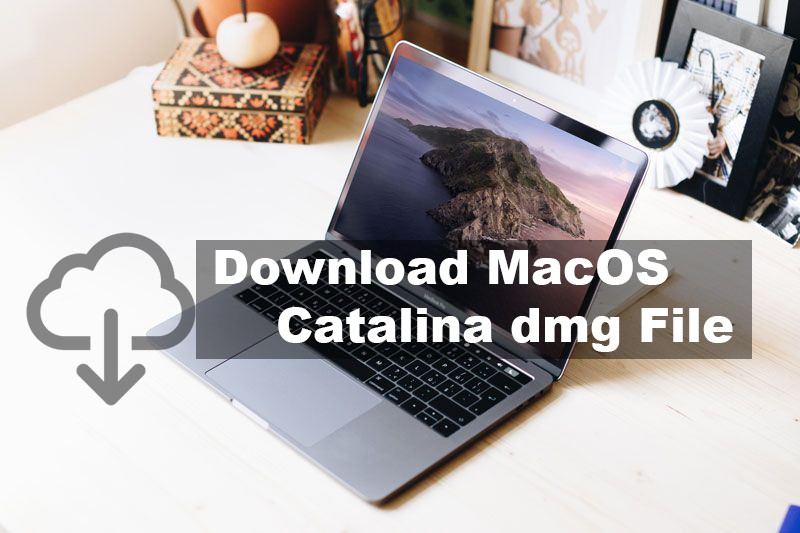 Download Macos Catalina Dmg File