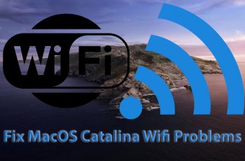 How to Fix MacOS Catalina Wifi Problems on Virtualbox