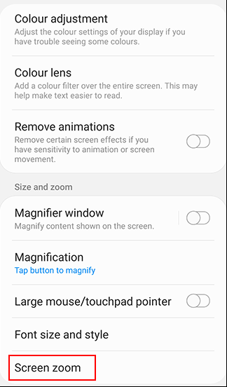 Use Screen Zoom option