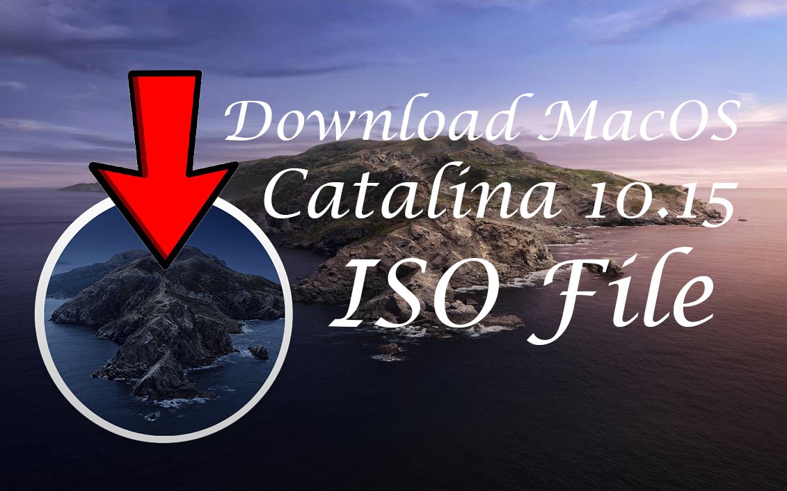 macos catalina raw file download