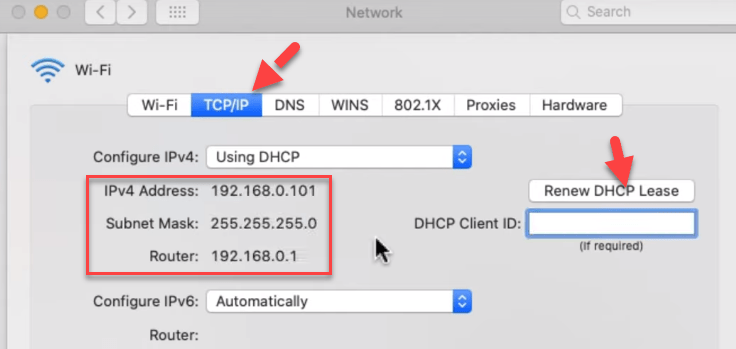MacOS Catalina DHCP Lease IP Adress