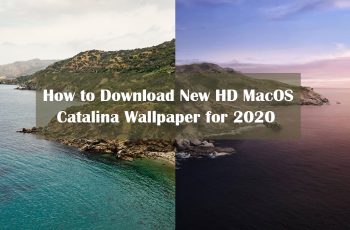 How to Download New HD MacOS Catalina Wallpaper for 2020?