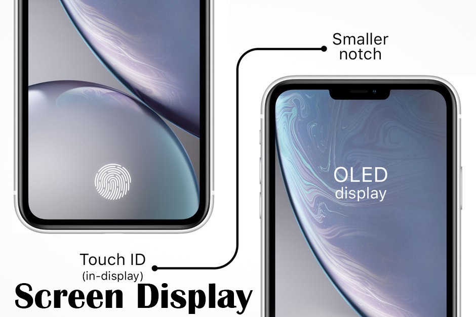 iPhone 12 Design Display