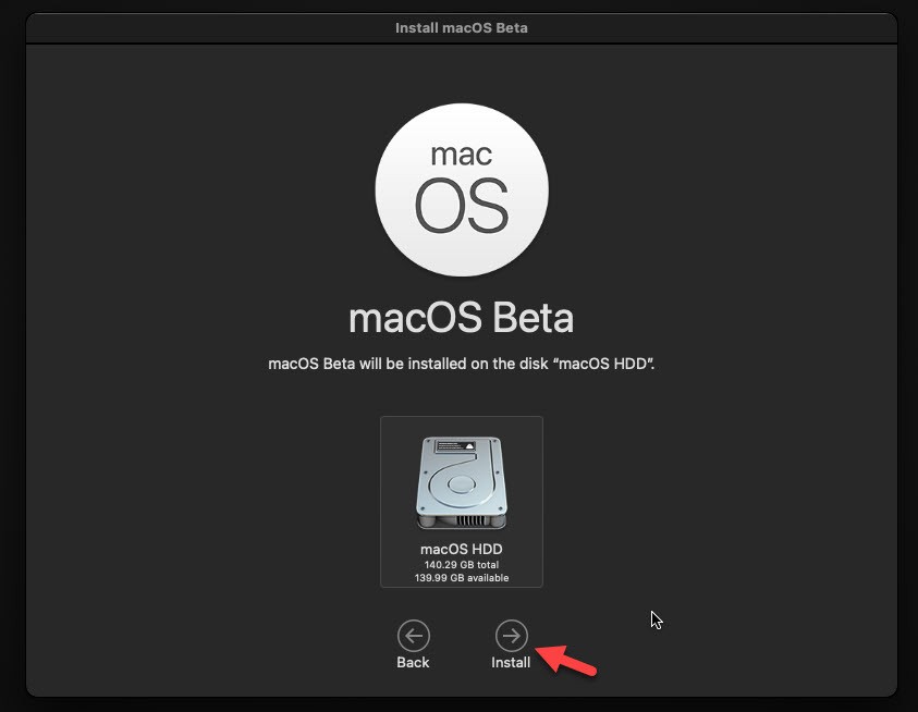 Select Disk and Install macOS Big Sur