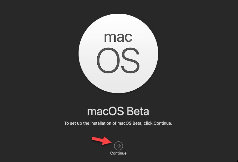 Select macOS Beta to Continue