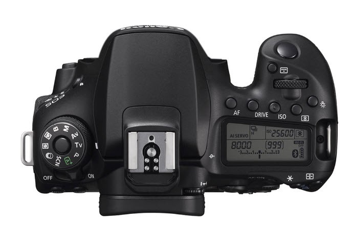 Photographer Cameras for Outdoor