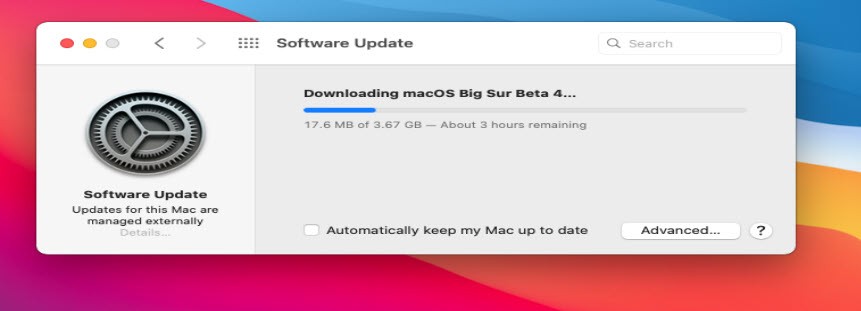 Downloading macOS Big Sur Beta 4