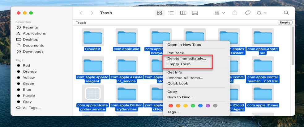 Empty Trash Folder on macOS Big Sur