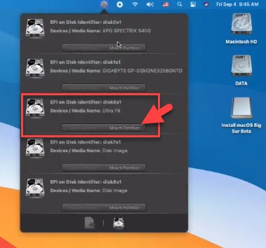 Mount EFI partition of macOS Big Sur USB