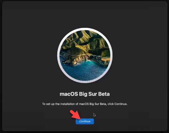 Continue to Set Up macOS Big Sur Installation