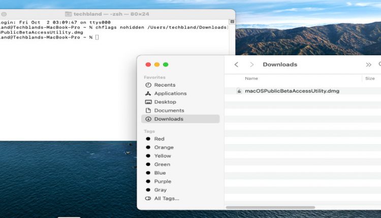 See all the Hidden Files Using Terminal