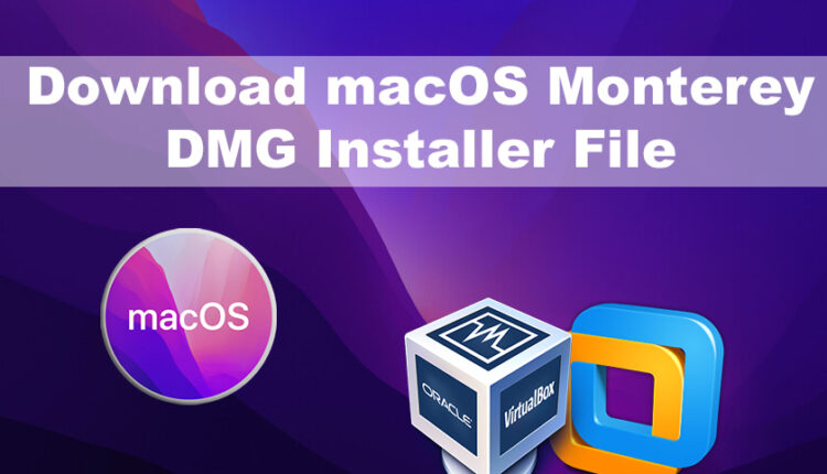 download macos monterey dmg file