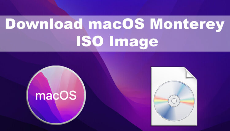 Download macOS Monterey ISO Image
