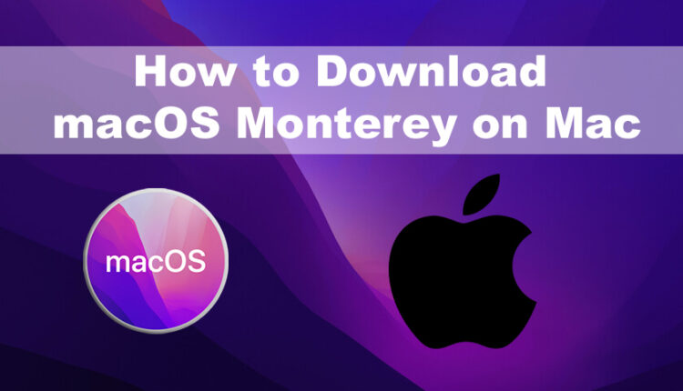 How to Download macOS Monterey Installer on Mac