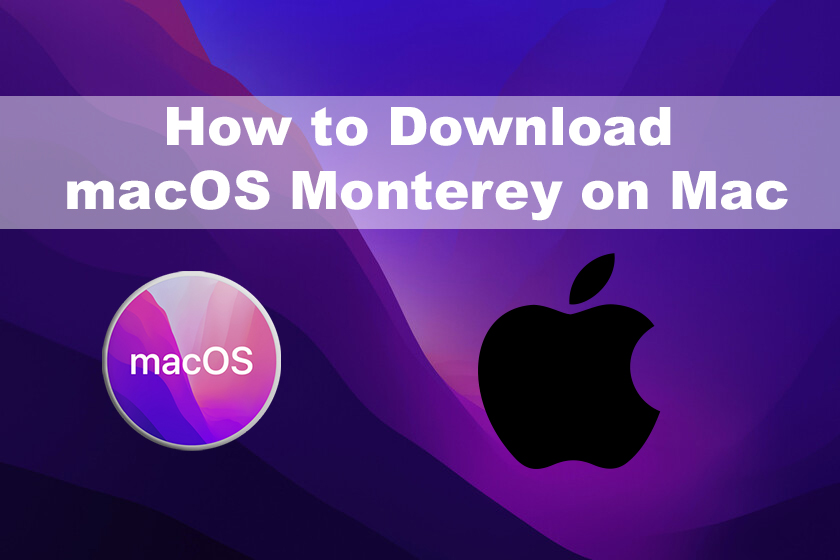 How to Download macOS Monterey Installer on Mac