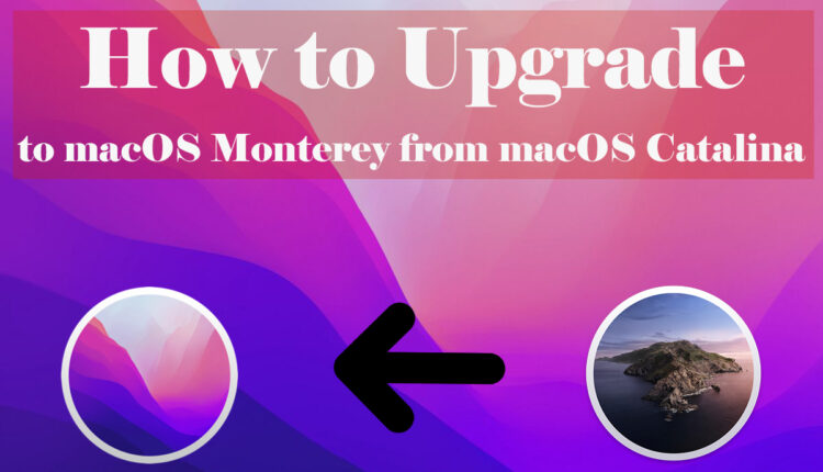 how to upgrade to macos monterey from macos catalina