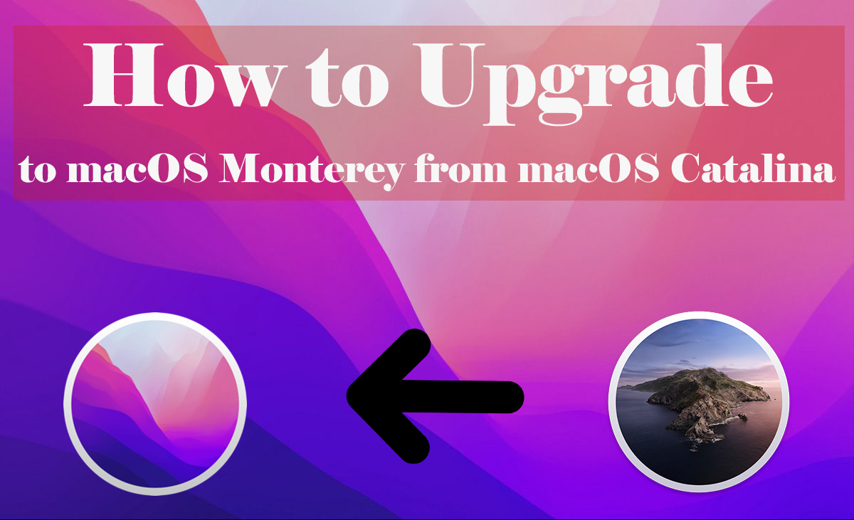 how to upgrade to macos monterey from macos catalina